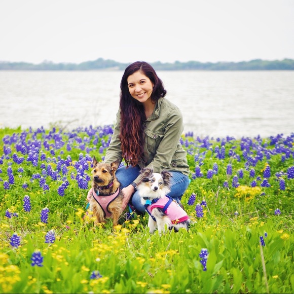 Meet your Posher, Victoria - Picture 5 of 5